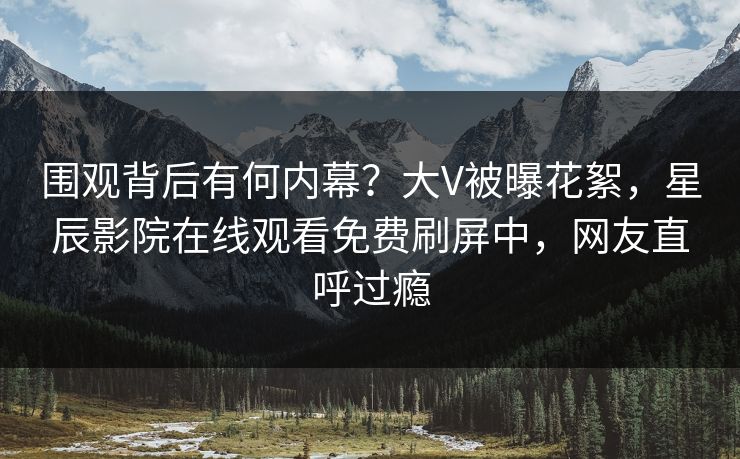 围观背后有何内幕？大V被曝花絮，星辰影院在线观看免费刷屏中，网友直呼过瘾