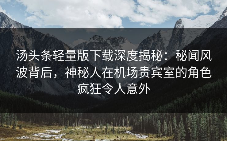 汤头条轻量版下载深度揭秘：秘闻风波背后，神秘人在机场贵宾室的角色疯狂令人意外